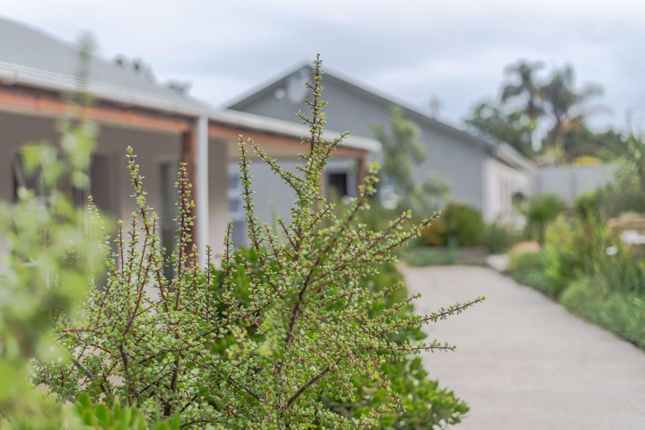 Azaria Guesthouse Swellendam Ngoại thất bức ảnh
