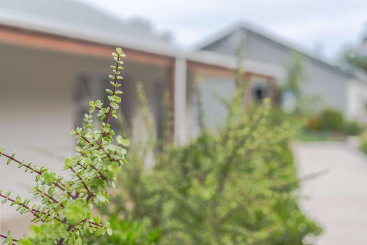 Azaria Guesthouse Swellendam Ngoại thất bức ảnh